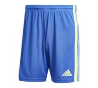 adidas Men's Squadra 21 Shorts, Team Royal Blue/Team Solar Yellow/Team Royal Blue, L