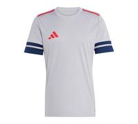 adidas Men's SQUADRA25 Jersey Short Sleeve, Glory Grey/Team Navy Blue 2/Pure Ruby, L
