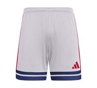 adidas Men's SQUADRA25 Short, Glory Grey/Team Navy Blue 2/Pure Ruby, M