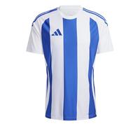 adidas Men's Striped 24 Jersey, White/Team Royal Blue, XXL