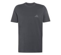 adidas Terrex Mountain Graphic short sleeve T-shirt dark grey - S