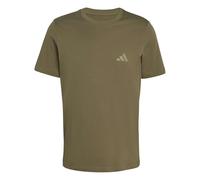adidas Men's Terrex Mountain Graphic Tshirt, Olive strata, L