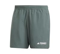 adidas Men's Terrex Multi Shorts, Legend Ivy, XL