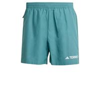 adidas Men's Terrex Multi Shorts, Preloved Teal, L