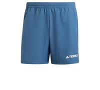 adidas Men's Terrex Multi Shorts, Wonder Steel, S