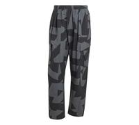 Adidas Terrex Xploric Cargo Printed Joggers Grey XL / Regular Men