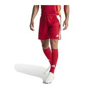 adidas Tiro 24 Shorts