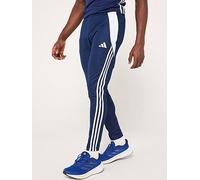 adidas Tiro 24 Training Pants