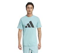 adidas Men's Train Essentials Feelready Logo Training Tee, Mint ton/Black, M