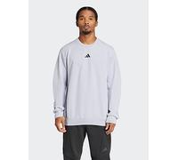 adidas Mens Training D4T Crew Sweater, Halo Silver, Size S, Men Halo Silver