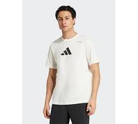 adidas Men's Climacool Category Training Graphic T-Shirt, Chalk White, XL