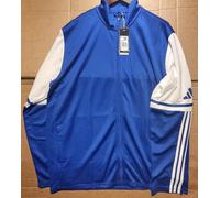adidas Men's Squadra25 Training Sweatshirt, team royal blue/white, XL