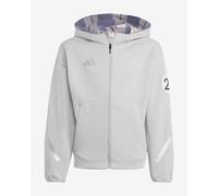 adidas Mercedes-AMG Full-Zip Hoodie Grey Junior - 128