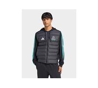 adidas Men's MERCEDES - AMG PETRONAS FORMULA 1 TEAM DNA PUFFER JACKET, black/semi mint rush, L