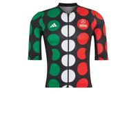 adidas Mercedes - AMG Petronas Formula 1 Team Giro DI Mercedes Jersey