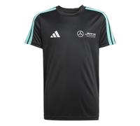 adidas Boy's Mercedes - AMG Petronas Formula ONE Team DNA TEE Youth, Black/White, 7-8 Years