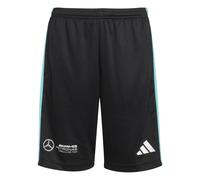 Adidas Mercedes AMG Petronas Formula One Team DNA Junior Short Colour: Black, Size: 13-14 years