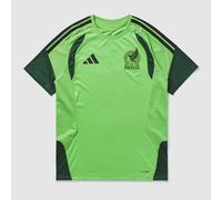 adidas Mexico 2026 Training Shirt