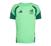 Adidas Mexico 26/27 Tiro Training Short Sleeve T-shirt
