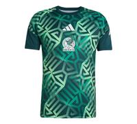 adidas Mexico 26 Home Pre Match Jersey Asia Sizing 'Aurora Ivy' JY5485 L