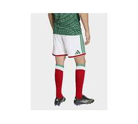 Mexico 26 Home Shorts