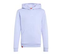 Adidas Minecraft Terrex Hoodie