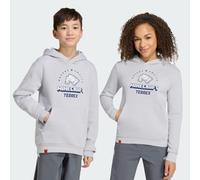 adidas Minecraft Terrex Hoodie