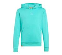 Adidas Minecraft Terrex Hoodie
