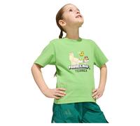 Adidas Minecraft Terrex Short Sleeve T-shirt