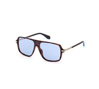 Adidas Originals Or0100 Sunglasses Brown