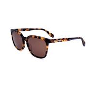 Adidas Original OR0061 Blonde havana 55/17/145 UNISEX Sunglasses