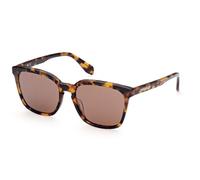 Adidas Original OR0061 Blonde havana 55/17/145 UNISEX Sunglasses