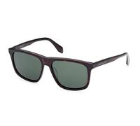 Adidas Original OR0062 Havana 56/15/145 MAN Sunglasses