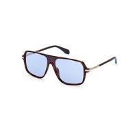 Adidas Originals OR0100 52V dark havana 00/00/145 UNISEX Sunglasses