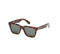 Adidas Originals OR0110 52N blonde havana 51/18/150 MAN Sunglasses