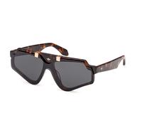 Adidas Originals OR0113 52A Men's Sunglasses Tortoiseshell Size 99