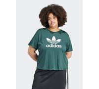adidas Originals Womens Plus Size Trefoil Boxy T-shirt - Green, Mineral Green, Size 1Xl, Women Mineral Green