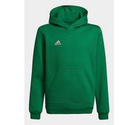 adidas sweatshirt ENT22 HOODY Y in Green 11 / 12 years