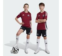 adidas Performance Kids Unisex Newcastle United FC Tiro 24 Training Shorts - Black Recycled Material - Size 11-12Y