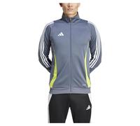 Adidas Tiro24 Training Tracksuit Jacket Grey M / Regular Men