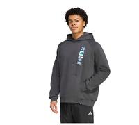Adidas Power Graphic Hoodie