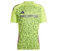 Adidas Predator Training Short Sleeve T-shirt Green XL / Regular Men