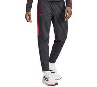 Adidas Predator Woven Pants Grey M / Regular Men