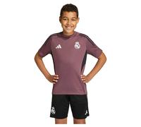 Real Madrid Tiro 25 Competition Training Jersey