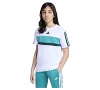 Adidas Seasonal Essentials Tiberio 3 Stripes Short Sleeve T-shirt