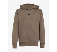 adidas Boy's Boys Slogan Fleece Hoodie Sweatshirt, Khaki Six, 7-8 Years
