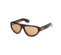 Adidas Originals Or0146 Sunglasses Brown Brown/CAT3