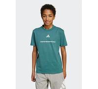 adidas Sportswear Junior Boys Logo T-shirt-green, Preloved Teal, Size 11-12 Years Preloved Teal