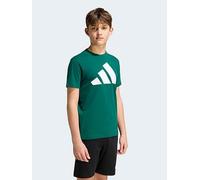 adidas Sportswear Junior Logo T-Shirt, Green, Size 15-16 Years Green