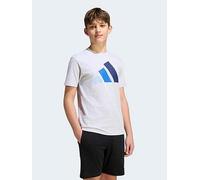 adidas Unisex Kids Essentials Big Logo Shirt, Light Grey Heather/Glow Blue/Team Royal Blue/Dark Blue, 15-16 Years